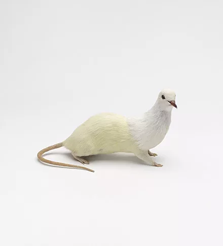 alt